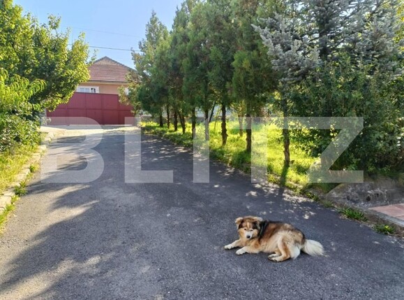 Casa de vânzare 4 camere Tarlungeni - 167237CV | BLITZ Brașov | Poza17