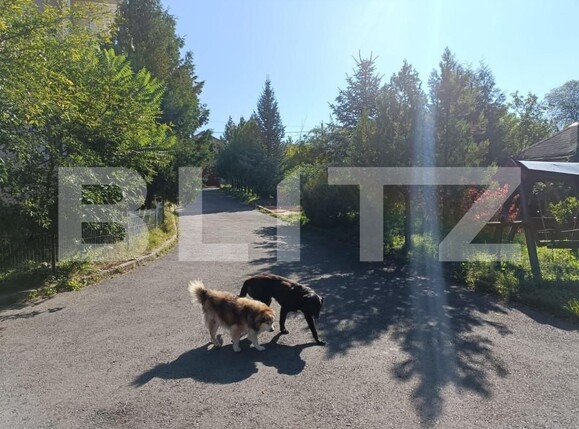 Casa de vânzare 4 camere Tarlungeni - 167237CV | BLITZ Brașov | Poza15