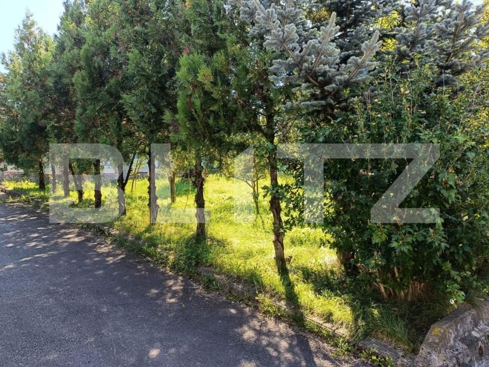 Casa de vânzare 4 camere Tarlungeni - 167237CV | BLITZ Brașov | Poza13