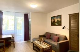 Garsoniera mobilat modern, prima închiriere, zona C.Brâncuși