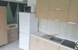 1 camera, 35 mp, imobil nou, mobilat modern, zona UMF