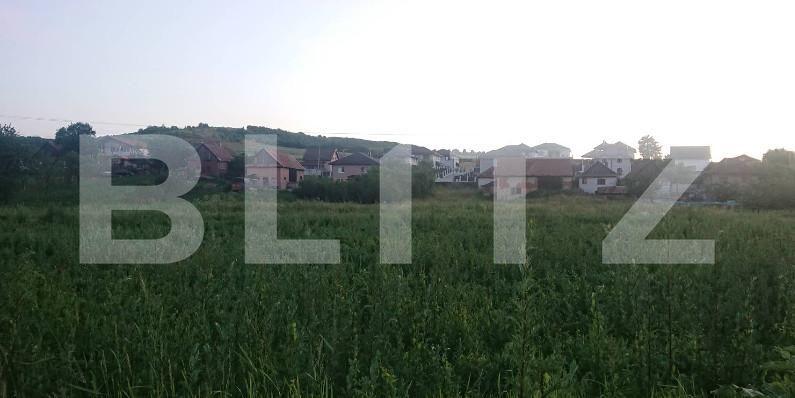 Teren de vânzare Baciu - 167320TV | BLITZ Cluj-Napoca | Poza1