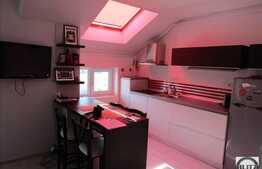 Vanzare mansarda cu 1 camera, 34 mp, balcon, zona strazii Florilor!