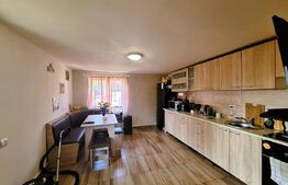 Casa individuala, Dezmir (zona Criseni), 480mp teren, 90 mp casa