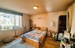 Casa individuala, Dezmir (zona Criseni), 480mp teren, 90 mp casa