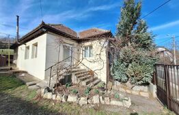 Casa individuala, Dezmir (zona Criseni), 480mp teren, 90 mp casa