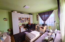 Casa individuala, Dezmir (zona Criseni), 480mp teren, 90 mp casa