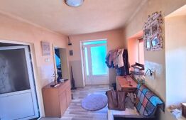 Casa individuala, Dezmir (zona Criseni), 480mp teren, 90 mp casa