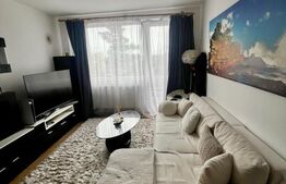 Apartament 2 camere, 46 mp, etaj 2, balcon, zona Iulius Gheorgheni