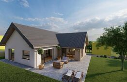 Casa spatioasa foarte luminoasa, 230 mp utili, 850 mp teren