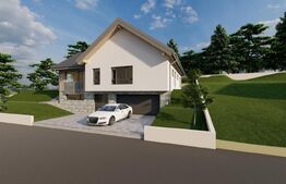 Casa spatioasa foarte luminoasa, 230 mp utili, 850 mp teren