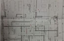 Casa spatioasa foarte luminoasa, 230 mp utili, 850 mp teren