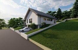 Casa spatioasa foarte luminoasa, 230 mp utili, 850 mp teren