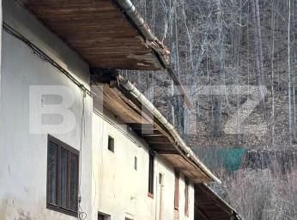 Casa de vânzare 5 camere Rasnov - 167466CV | BLITZ Brașov | Poza6