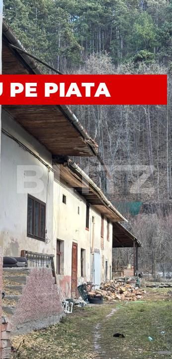 Casa de vânzare 5 camere Rasnov - 167466CV | BLITZ Brașov | Poza6