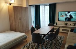 Apartament 1 camera, modern, terasa 60 mp, zona Marasti