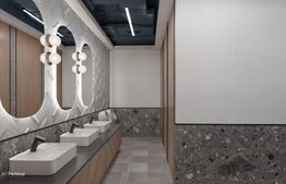 Spațiu de birouri premium de închiriat, 20 incaperi, 1.320 mp, zona Europa