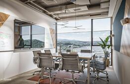 Spațiu de birouri premium de închiriat, 20 incaperi, 1.320 mp, zona Europa