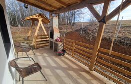 Casa individuala, 4 camere, 95 mp utili, 630 mp de teren, Rasca