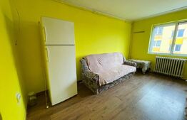 Apartament 1 camera, 22mp, etaj intermediar, zona Bulevardul Muncii 