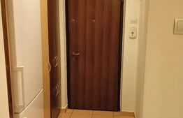 Garsoniera de închiriat, 35 mp, zona Iulius Mall