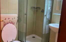 Apartament tip studio, 30 mp, etaj intermediar, zona Gheorgheni