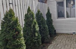 Apartament superb pe trei niveluri in Ghimbav - Brasov