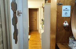 Apartament de 2 camere de vânzare în zona Noua 