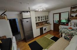 Apartament de 2 camere de vânzare în zona Noua 