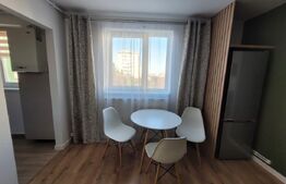 Apartament cu 2 camere, renovat recent, bloc reabilitat, zona Brancusi