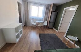 Apartament cu 2 camere, renovat recent, bloc reabilitat, zona Brancusi