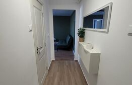 Apartament cu 2 camere, renovat recent, bloc reabilitat, zona Brancusi