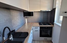 Apartament cu 2 camere, renovat recent, bloc reabilitat, zona Brancusi