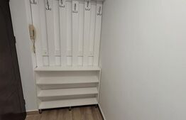 Apartament cu 2 camere, renovat recent, bloc reabilitat, zona Brancusi