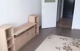 Garsoniera de vanzare, 28 mp, etaj intermediar, zona Big 