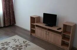 Garsoniera de vanzare, 28 mp, etaj intermediar, zona Big 