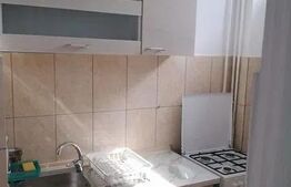 Garsoniera de vanzare, 28 mp, etaj intermediar, zona Big 