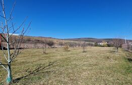 Oportunitate de investitie! Teren intravilan, 3244mp, Luna de Sus