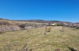 Oportunitate de investitie! Teren intravilan, 3244mp, Luna de Sus