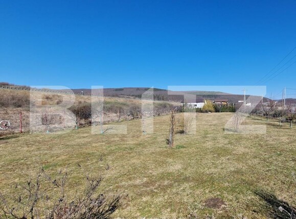 Teren de vânzare Luna de Sus - 167664TV | BLITZ Cluj-Napoca | Poza3