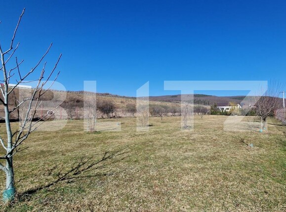 Teren de vânzare Luna de Sus - 167664TV | BLITZ Cluj-Napoca | Poza1