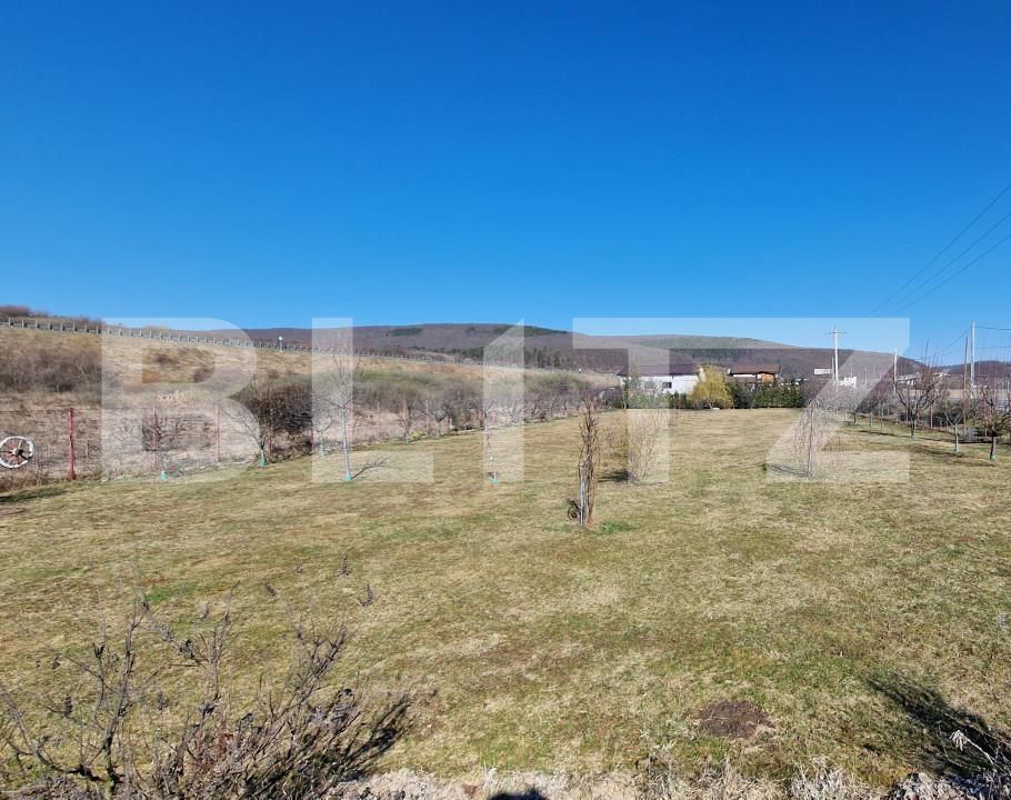 Teren de vânzare Luna de Sus - 167664TV | BLITZ Cluj-Napoca | Poza3