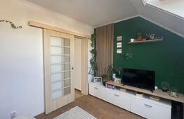 Apartament de vanzare, cu 3 camere, 47 mp, Cartier Gheorgheni 