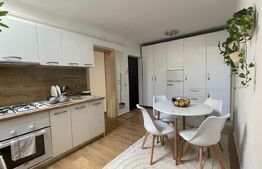 Apartament de vanzare, cu 3 camere, 47 mp, Cartier Gheorgheni 