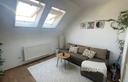 Apartament de vanzare, cu 3 camere, 47 mp, Cartier Gheorgheni 