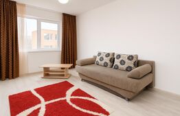 Garsoniera decomandata, pet friendly, zona Expo Transilvania