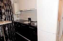 2 camere, 52 mp, imobil nou, mobilat modern, pentru studentii la UMF