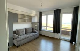 Penthouse Spațios de Închiriat în Zona Liniștită 