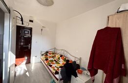 Camera de camin, 12 mp, zona mall Afi