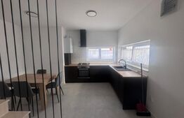 Casă de închiriat, 4 camere, 105 mp, zona Someseni 